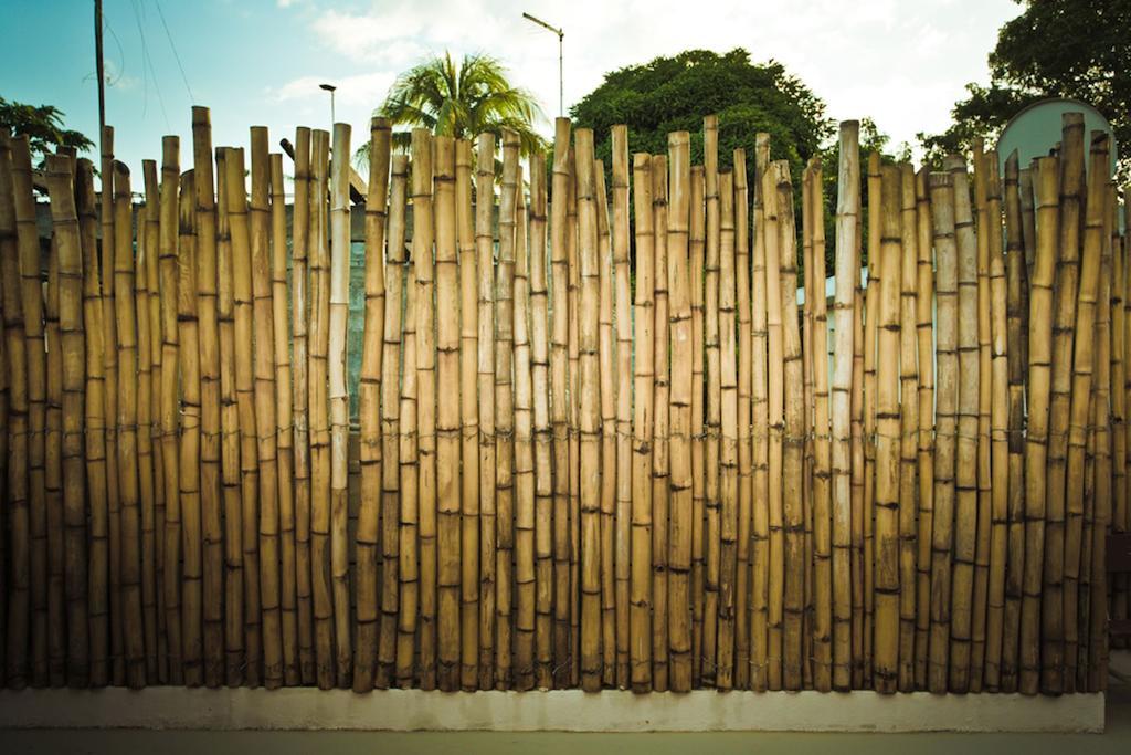 Guest House Chez Jacques Tamarin Exterior foto
